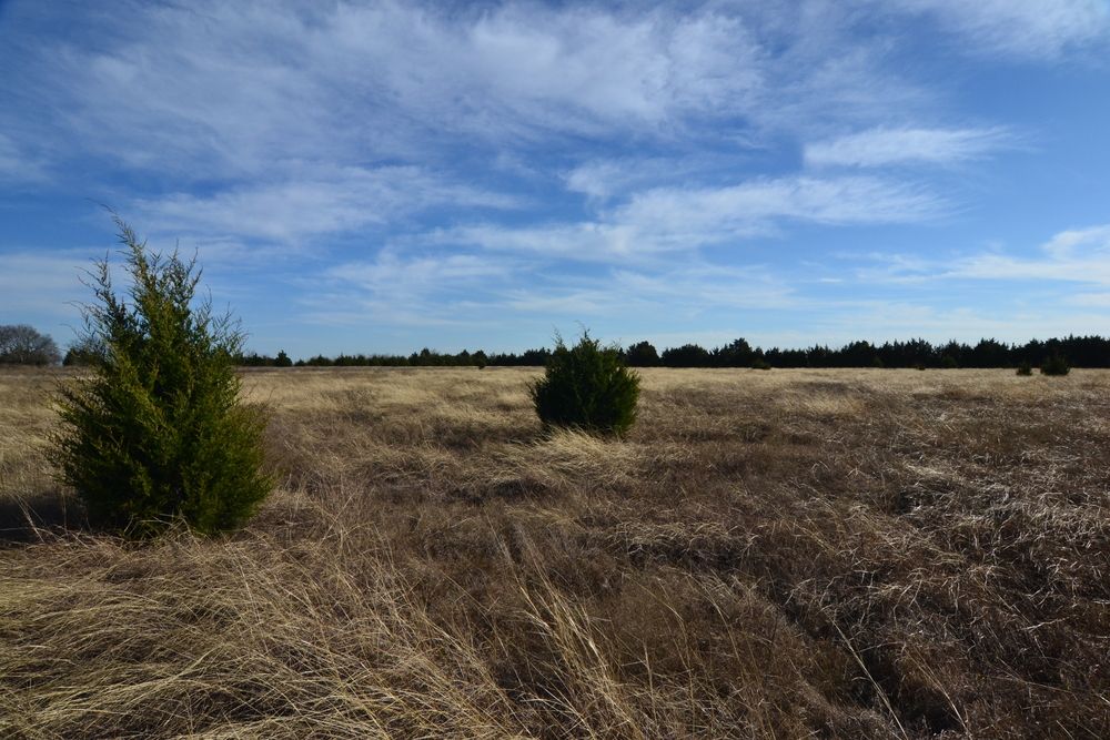 02 Airport Road, Rockwall, TX 75087